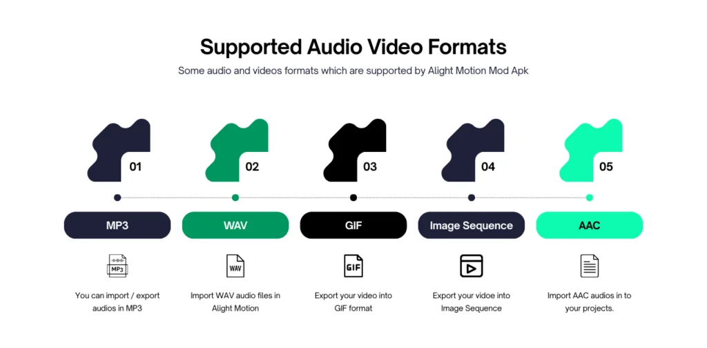Alight Motion Pro Apk Supported Audio and Video Formats